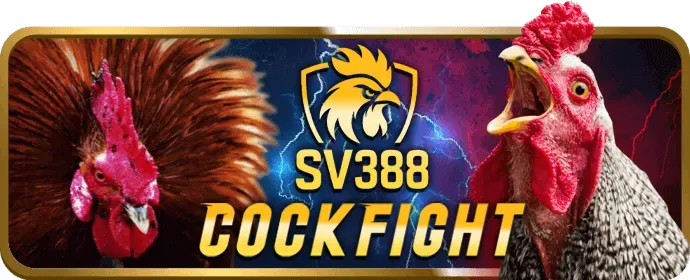 Chương trình VIP Vaobet